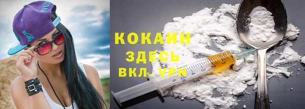 прущие грибы Майский