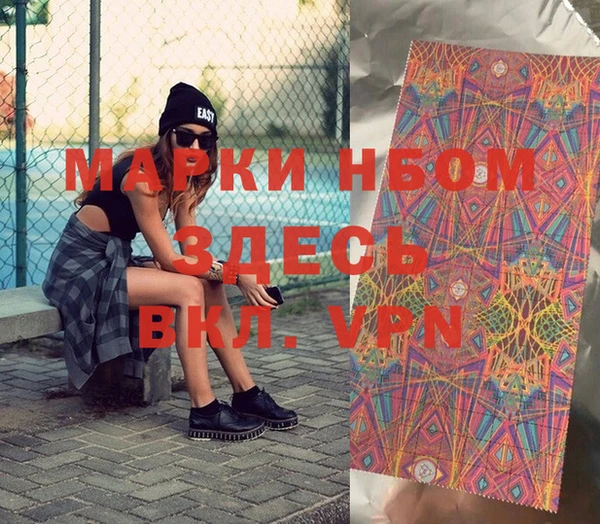 прущие грибы Майский