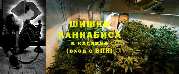 прущие грибы Майский
