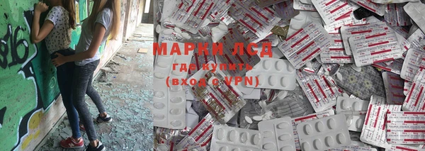 прущие грибы Майский