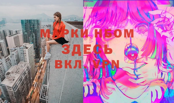 прущие грибы Майский