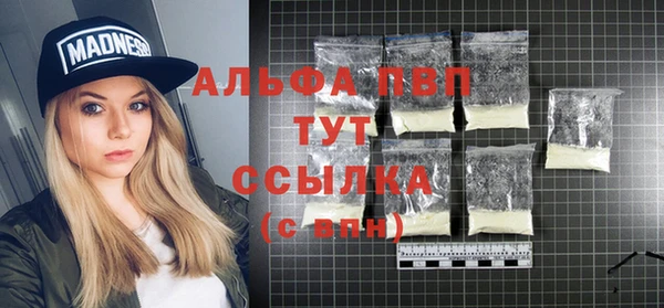 прущие грибы Майский
